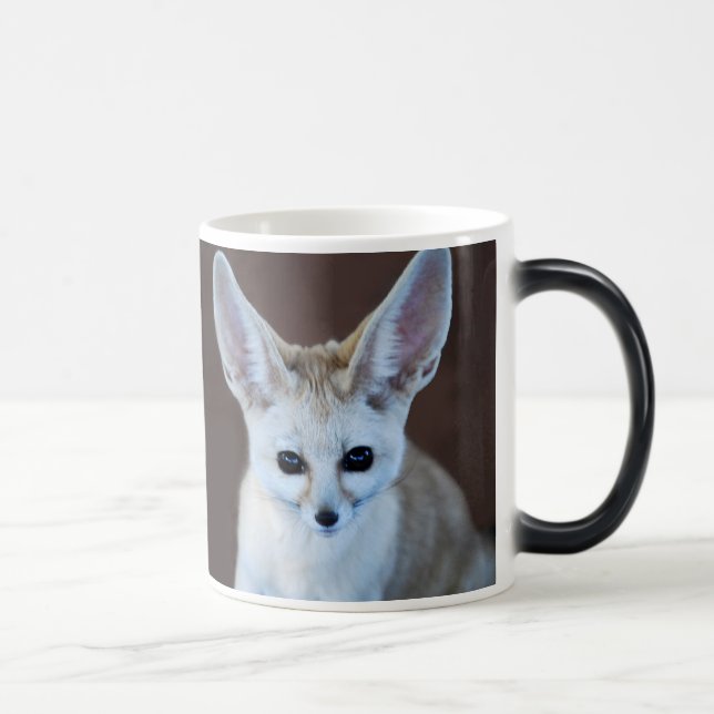 Taza Mágica Mundos Cutest Fennec Fox (Derecha)
