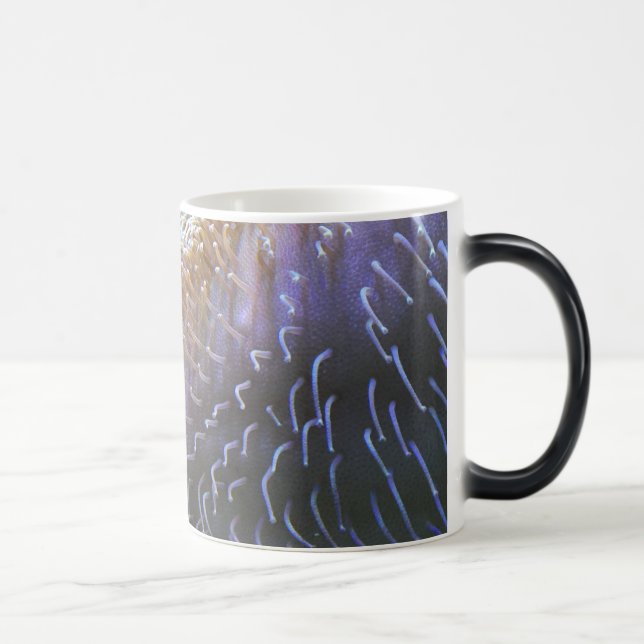 Taza Mágica Naranja de pez payaso (Derecha)