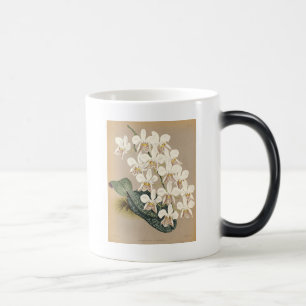 Taza Mágica Orquídeas