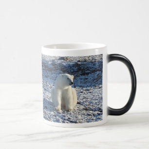 Taza Mágica Oso polar ártico, frío ártico