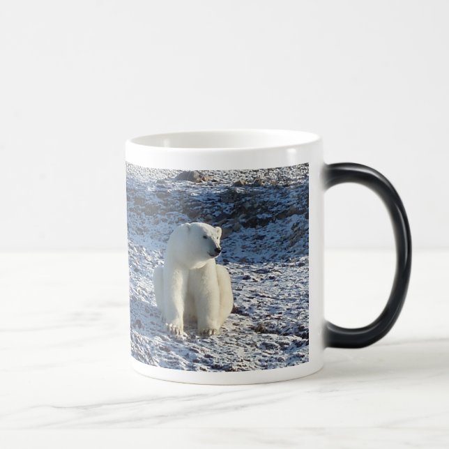 Taza Mágica Oso polar ártico, frío ártico (Derecha)