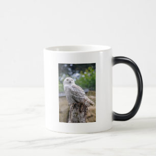 Taza Mágica Oveja de nieve