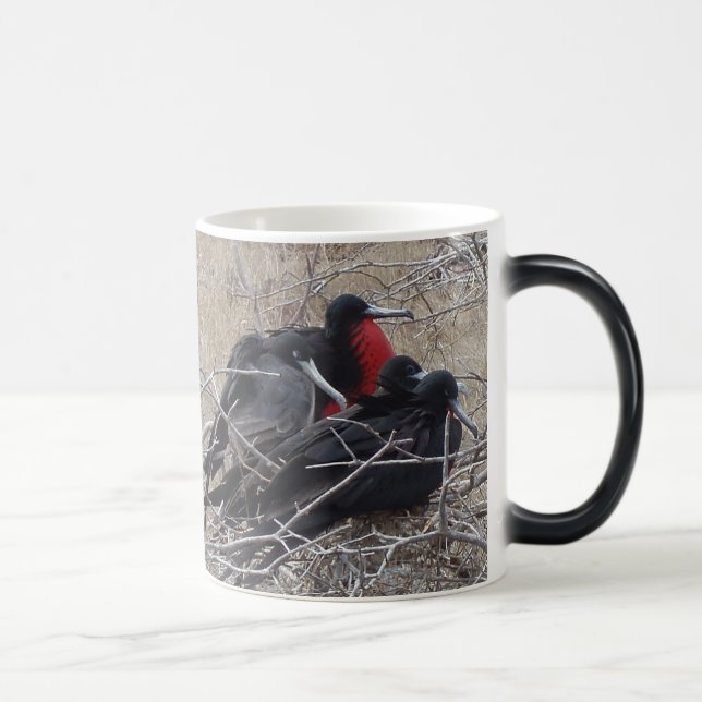 Taza Mágica Pájaros de fragata de las Islas Galápagos (Derecha)