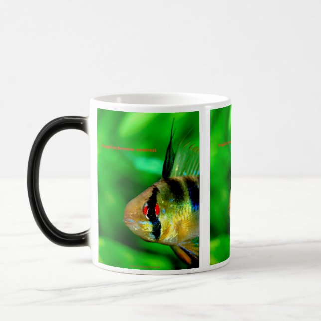 Taza Mágica Papiliochromis ramirezi (Izquierda)