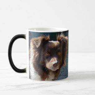 Taza Mágica pastor americano miniatura rojo tri