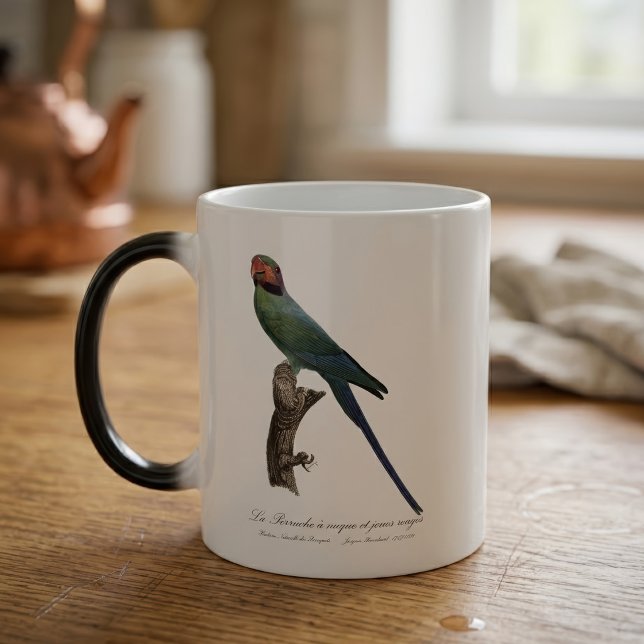 Taza Mágica Perico Colilargo, Psittacula Longicauda (Long-Tailed Parakeet, Psittacula Longicauda. Color Morph Mug)
