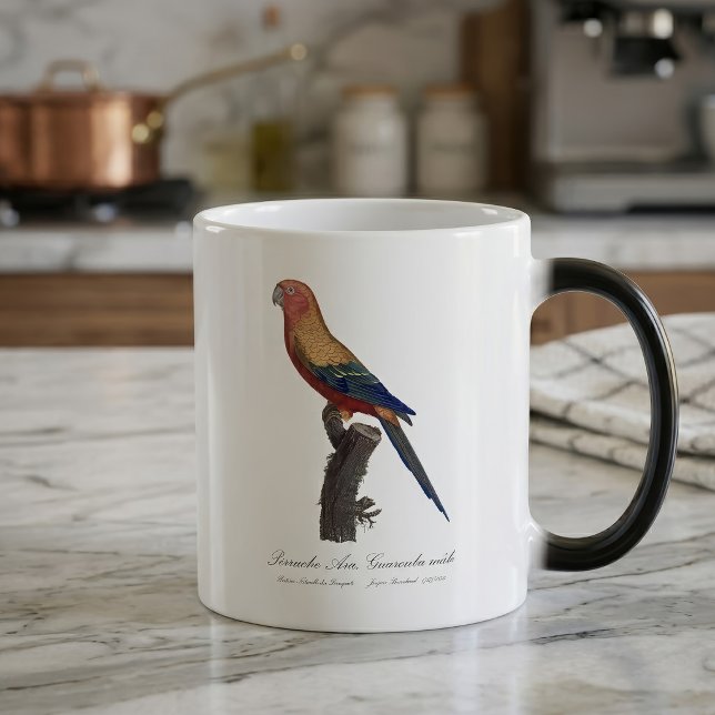 Taza Mágica Perico Sol, Aratinga Solstitialis (Sun Parakeet Male, Aratinga Solstitialis. Color Morph Mug)