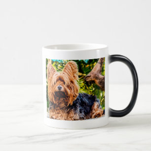 Taza Mágica Perrito Adorable Mascota Yorkie Paz Amor Destino D