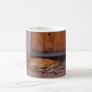 Taza Mágica Perro en reposo