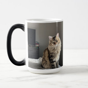 Taza Mágica Personalizado Collage de fotos Gato Personalizado 
