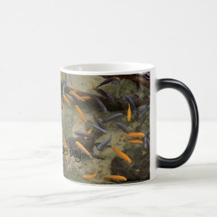 Taza Mágica Pez dorado colorido atrapado