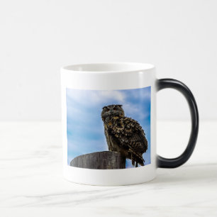 Taza Mágica Plumas de ave de búho Animal Naturaleza Destino Pa