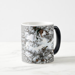 Taza Mágica Resumen de nieve