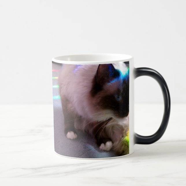 Taza Mágica ¡Sorpresa! CatM (Derecha)