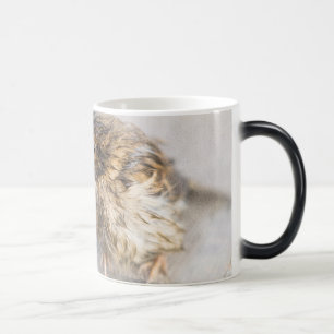 Taza Mágica Sparrow - Fracaso epidémico en las predicciones me