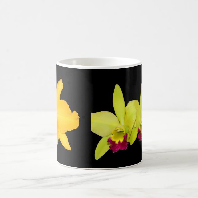 Taza Mágica TAZA, Cattyleyas, dos variedades (Centro)