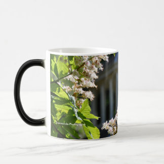 Taza Mágica "Taza de la primavera de la tierra del parque"