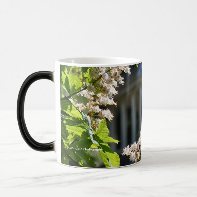 Taza Mágica "Taza de la primavera de la tierra del parque" (Izquierda)