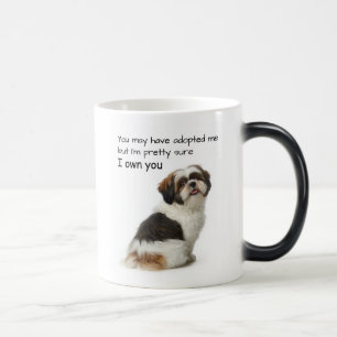 Taza Mágica Te Tengo Shih Tzu
