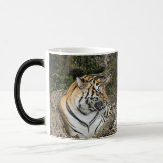 Taza Mágica Tiger Mug