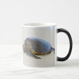 Taza Mágica Tortuga marina hawaiana