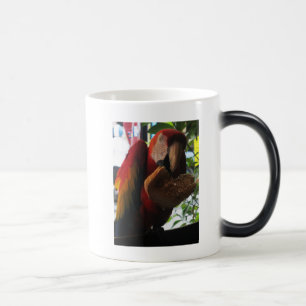 Taza Mágica Tostada de loro de Macaw escarlata