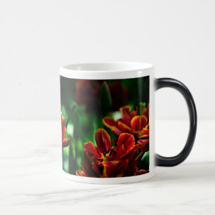 Taza Mágica Tulipán Rojo - Su Majestad el Rey