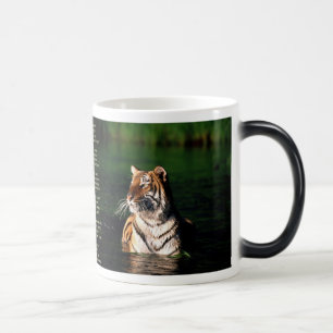 Taza Mágica Tyger, Tyger