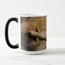 Un lagarto de café