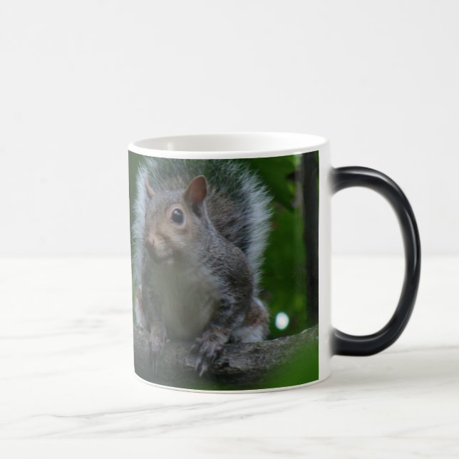 Taza Mágica una ardilla más grande (Derecha)