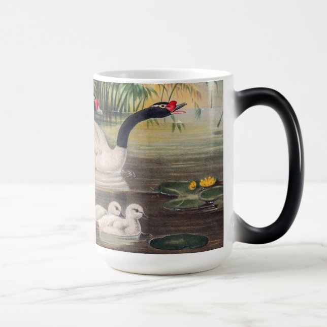 Taza Mágica Vintage Wild Black-Necked Swan  (Derecha)
