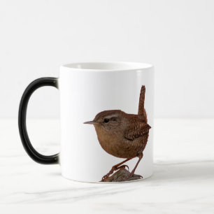 Taza Mágica Wren
