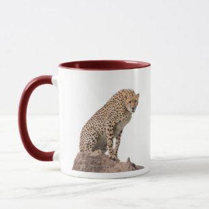 Taza Magnífica foto de un lindo gato