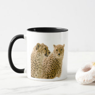 Taza Magnífica foto de un lindo gato