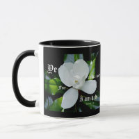 Magnolia del Sur con Leviticus 11:44