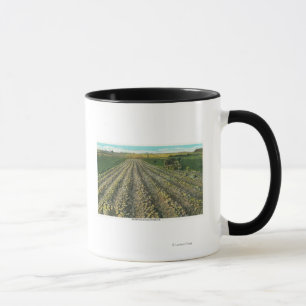 Taza MaineView de una granja de la patata en Maine