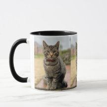 Malabarismos Daisies Ernest Photo Mug