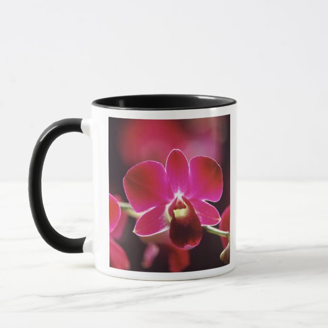 Taza Malasia, Orquídea (Izquierda)