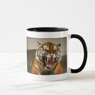 Taza malaya del tigre #2
