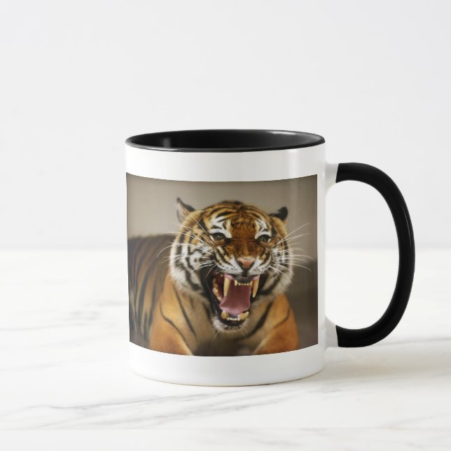 Taza malaya del tigre #2 (Derecha)