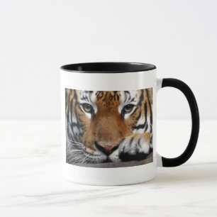 Taza malaya del tigre #3