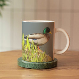 Taza Mallard Drake Nature Photo