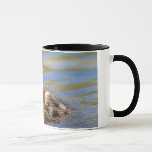 Taza Mallard Duckling (Derecha)