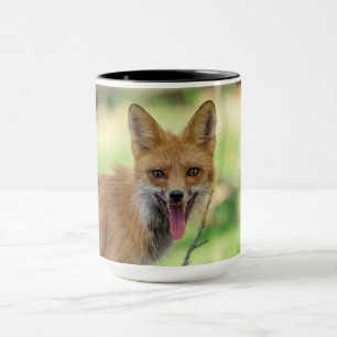 Taza Mama Fox en el Valle de Hudson