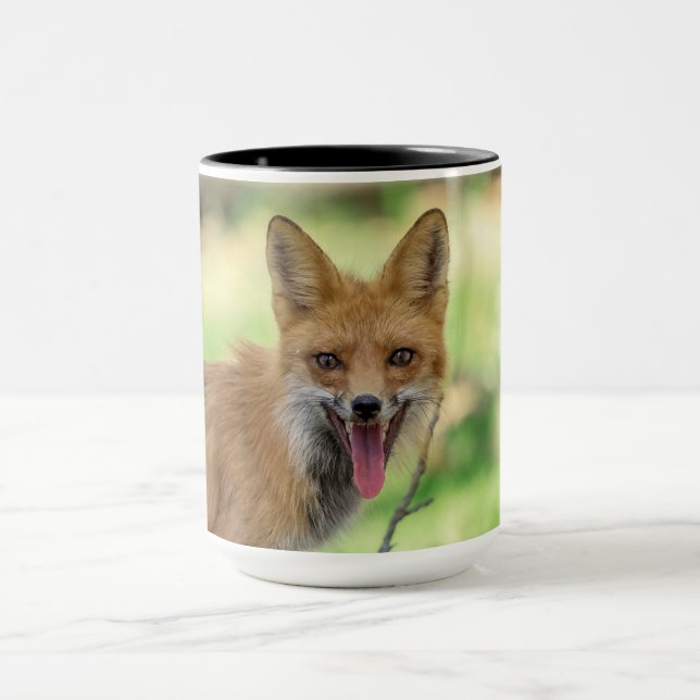 Taza Mama Fox en el Valle de Hudson (Centro)