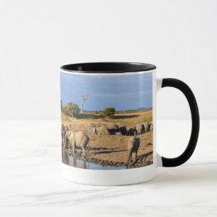 Taza Manada de elefante africano de sabana (Loxodonta a