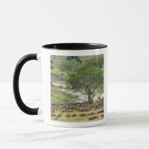 Taza Manada masiva de ñus durante la migración,