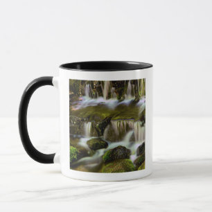 Taza Manantial de helechos, Parque Nacional Yosemite, C