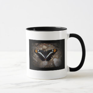 Taza manchada blanco de la mariposa