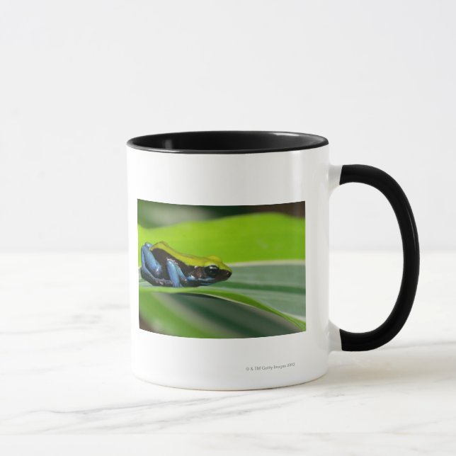 Taza mantella Verde-apoyado (Derecha)
